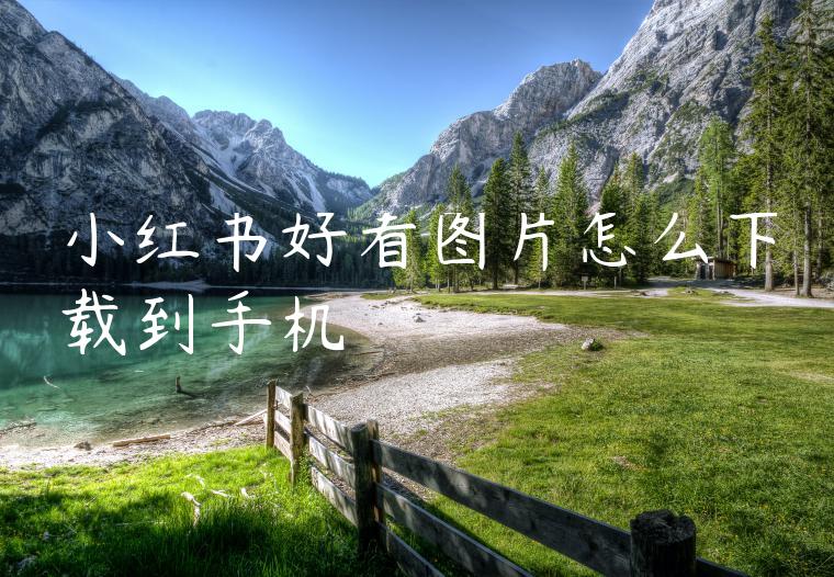 小红书好看图片怎么下载到手机