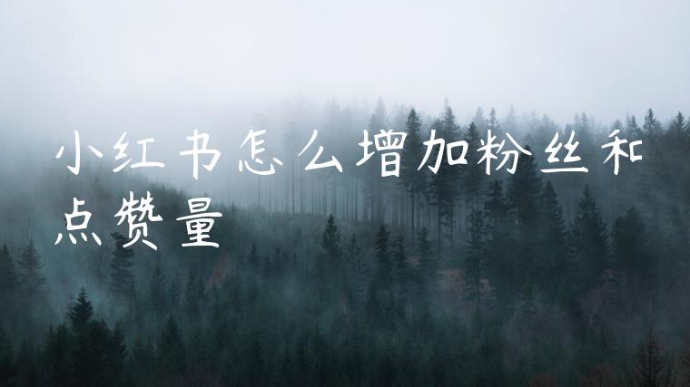 小红书怎么增加粉丝和点赞量 小红书怎么增加粉丝和点赞量