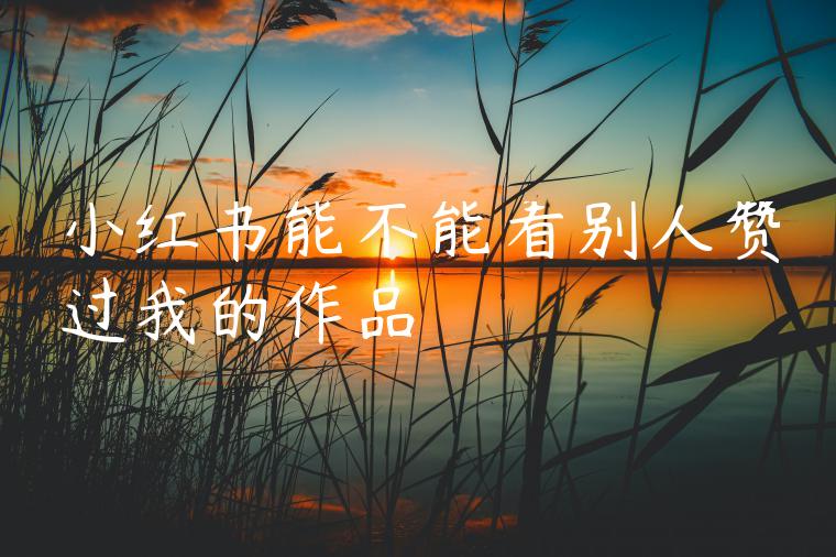 小红书能不能看别人赞过我的作品