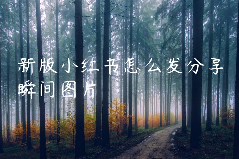 新版小红书怎么发分享瞬间图片 新版小红书怎么发分享瞬间图片