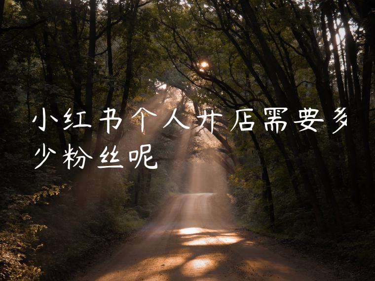 小红书个人开店需要多少粉丝呢 小红书个人开店需要多少粉丝呢