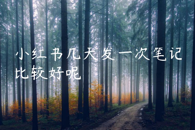 小红书几天发一次笔记比较好呢