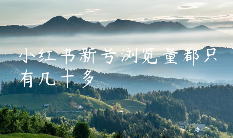 小红书新号浏览量都只有几十多 小红书新号浏览量都只有几十多