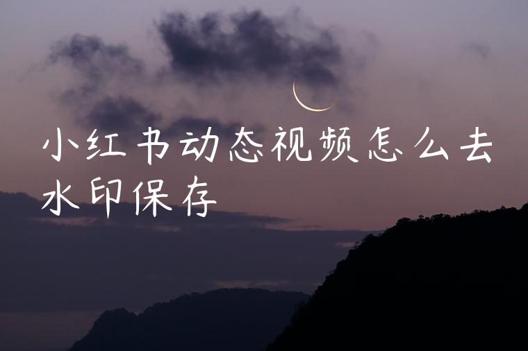 小红书动态视频怎么去水印保存