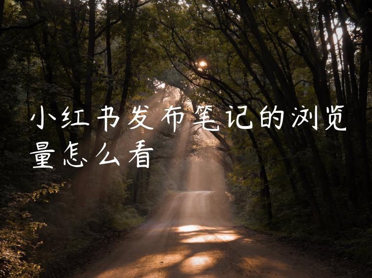 小红书发布笔记的浏览量怎么看 小红书发布笔记的浏览量怎么看