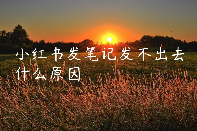小红书发笔记发不出去什么原因