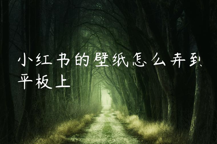 小红书的壁纸怎么弄到平板上
