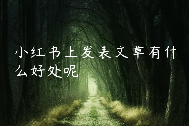 小红书上发表文章有什么好处呢 小红书上发表文章有什么好处呢