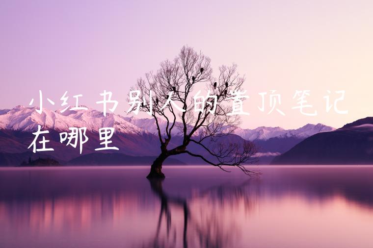 小红书别人的置顶笔记在哪里 小红书别人的置顶笔记在哪里