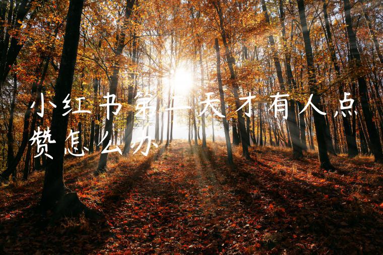 小红书第二天才有人点赞怎么办