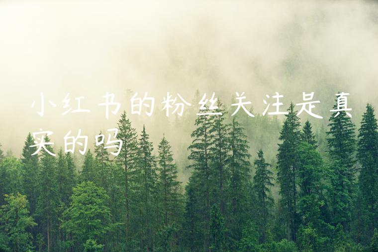 小红书的粉丝关注是真实的吗