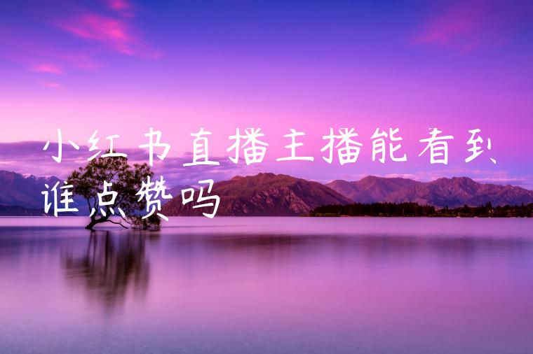 小红书直播主播能看到谁点赞吗