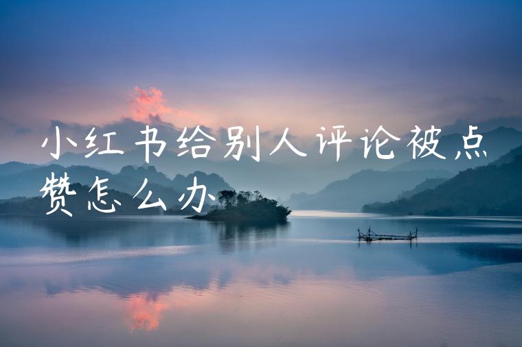 小红书给别人评论被点赞怎么办