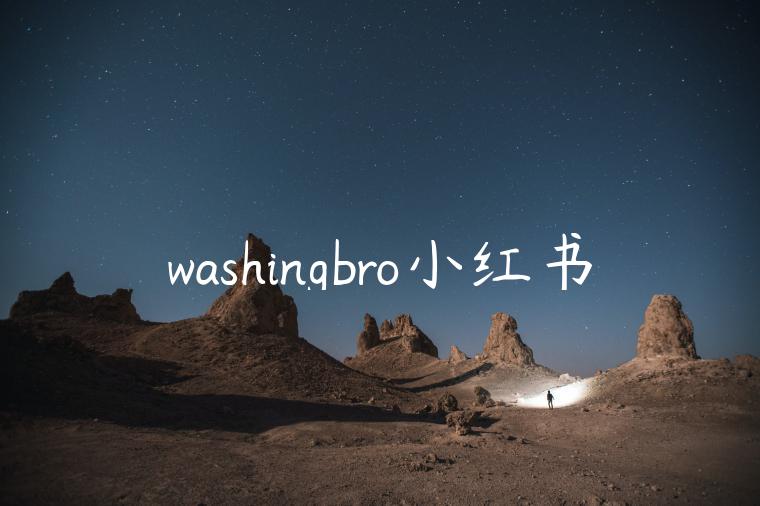 washingbro小红书