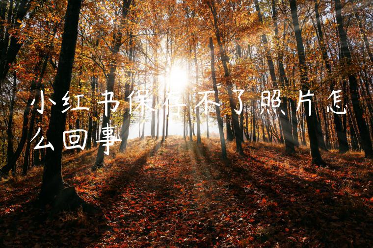 小红书保存不了照片怎么回事 小红书保存不了照片怎么回事