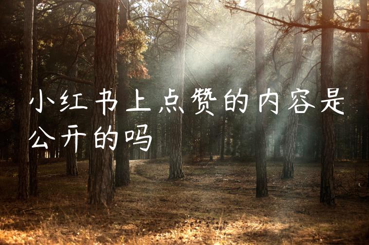 小红书上点赞的内容是公开的吗 小红书上点赞的内容是公开的吗