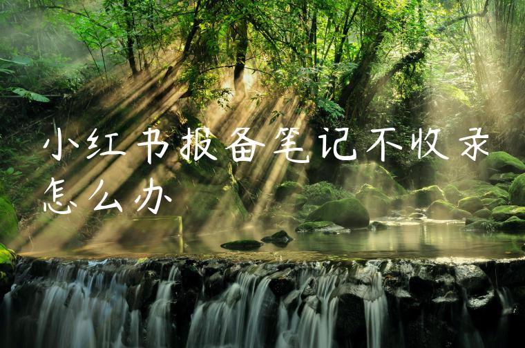 小红书报备笔记不收录怎么办