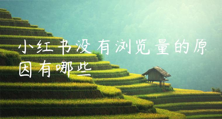 小红书没有浏览量的原因有哪些 小红书没有浏览量的原因有哪些