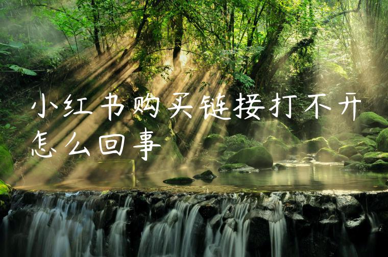 小红书购买链接打不开怎么回事 小红书购买链接打不开怎么回事