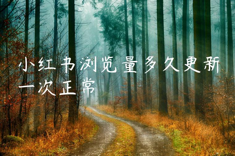 小红书浏览量多久更新一次正常 小红书浏览量多久更新一次正常