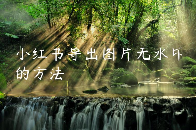 小红书导出图片无水印的方法 小红书导出图片无水印的方法
