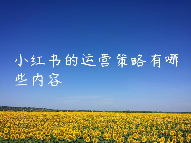 小红书的运营策略有哪些内容 小红书的运营策略有哪些内容