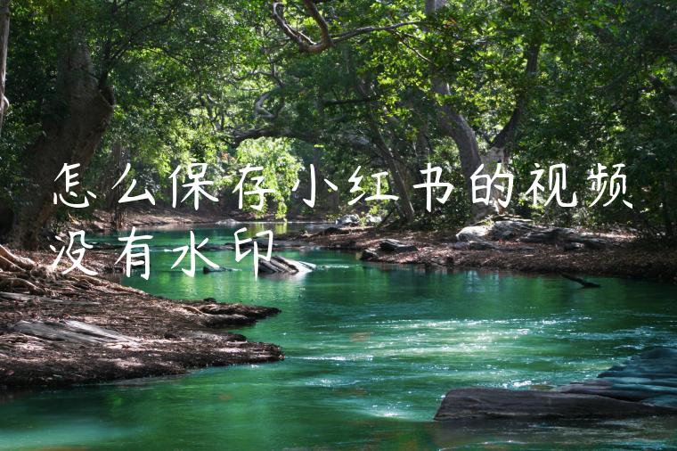 怎么保存小红书的视频没有水印 怎么保存小红书的视频没有水印
