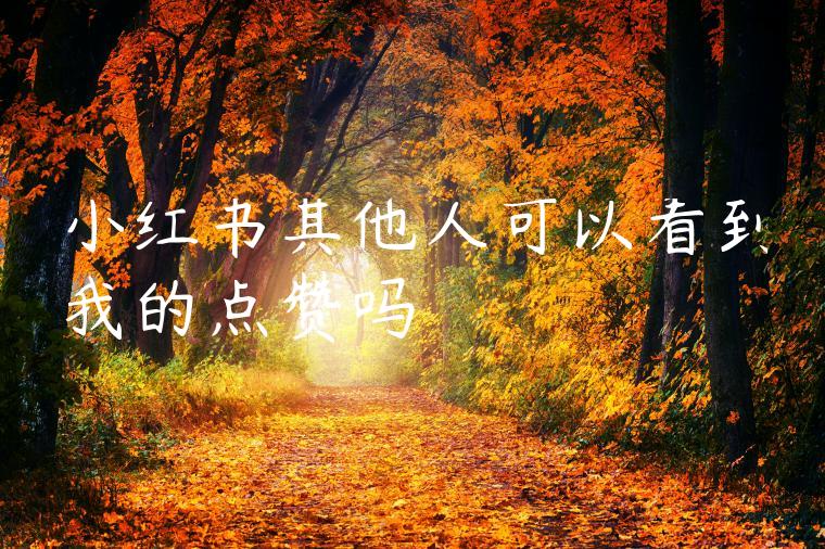 小红书其他人可以看到我的点赞吗 小红书其他人可以看到我的点赞吗
