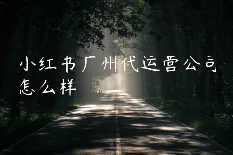 小红书广州代运营公司怎么样