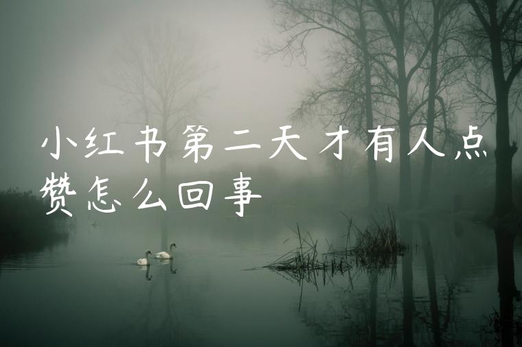 小红书第二天才有人点赞怎么回事