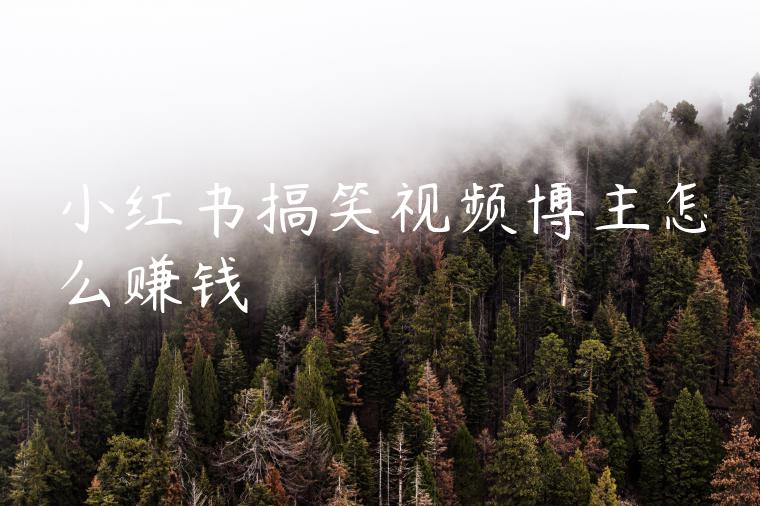 小红书搞笑视频博主怎么赚钱