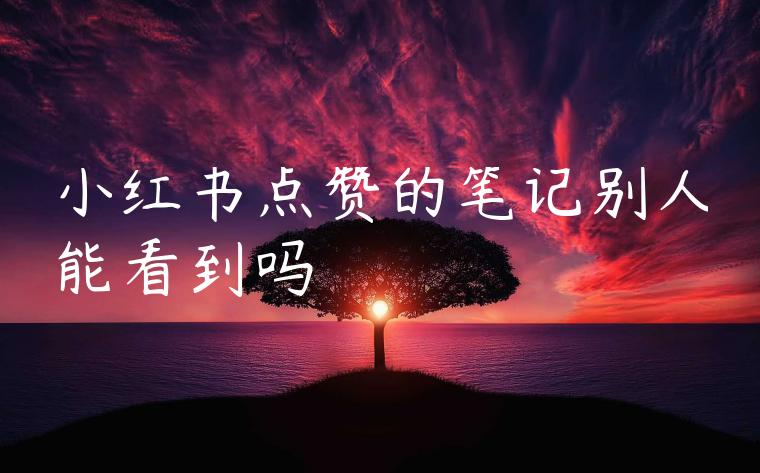 小红书点赞的笔记别人能看到吗 小红书点赞的笔记别人能看到吗