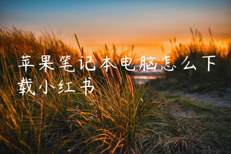 苹果笔记本电脑怎么下载小红书 苹果笔记本电脑怎么下载小红书