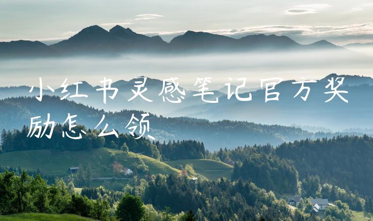 小红书灵感笔记官方奖励怎么领