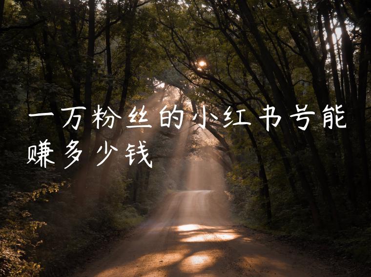 一万粉丝的小红书号能赚多少钱