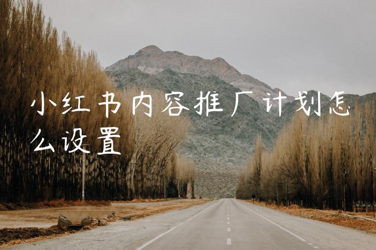 小红书内容推广计划怎么设置 小红书内容推广计划怎么设置