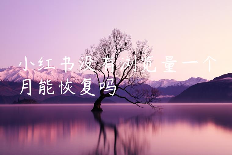 小红书没有浏览量一个月能恢复吗