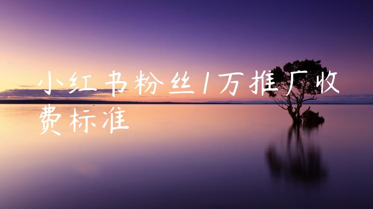 小红书粉丝1万推广收费标准