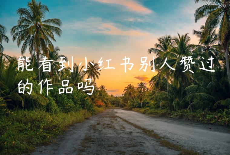 能看到小红书别人赞过的作品吗
