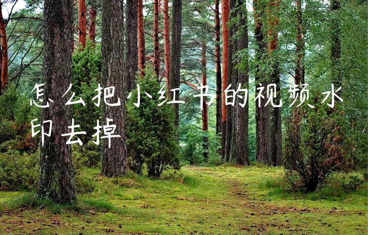 怎么把小红书的视频水印去掉 怎么把小红书的视频水印去掉
