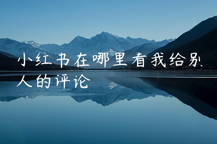 小红书在哪里看我给别人的评论