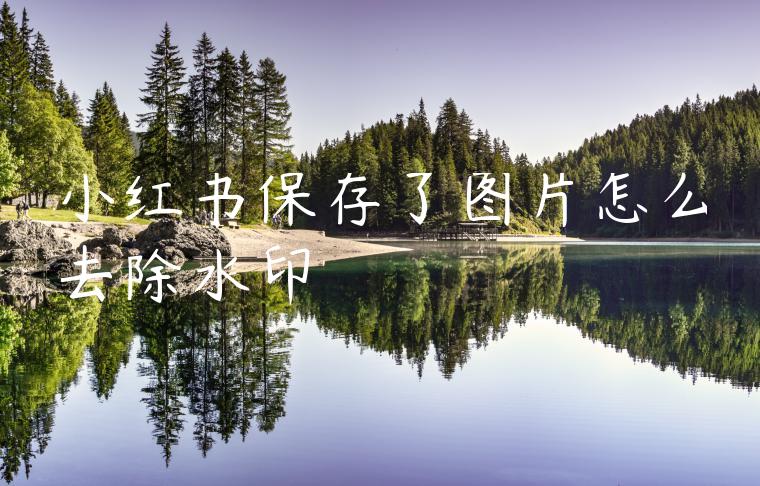 小红书保存了图片怎么去除水印 小红书保存了图片怎么去除水印