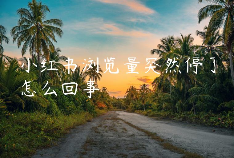 小红书浏览量突然停了怎么回事