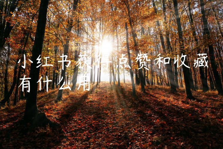 小红书获得点赞和收藏有什么用 小红书获得点赞和收藏有什么用