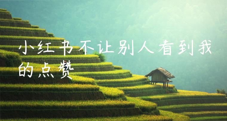 小红书不让别人看到我的点赞 小红书不让别人看到我的点赞