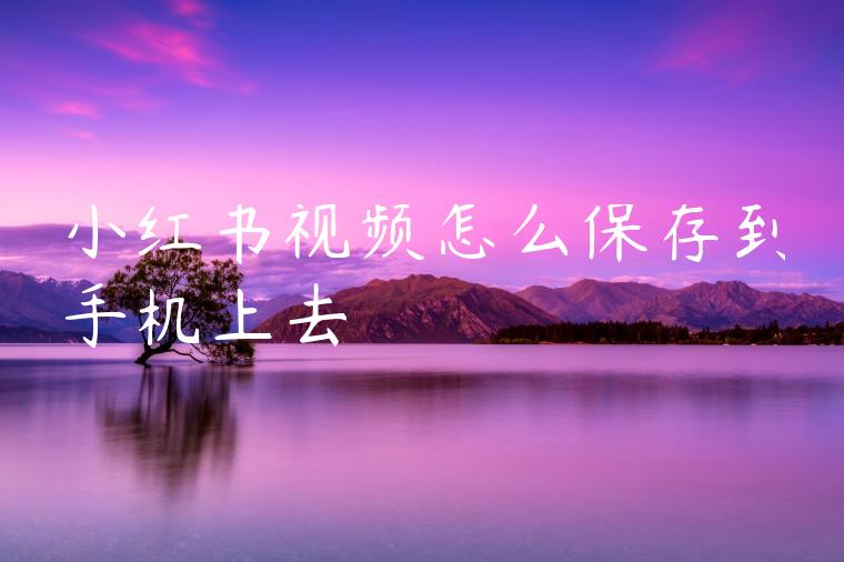 小红书视频怎么保存到手机上去
