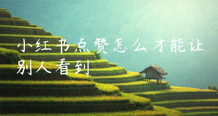 小红书点赞怎么才能让别人看到