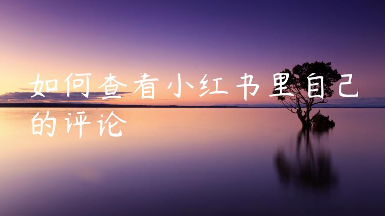 如何查看小红书里自己的评论 如何查看小红书里自己的评论