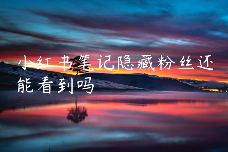 小红书笔记隐藏粉丝还能看到吗 小红书笔记隐藏粉丝还能看到吗