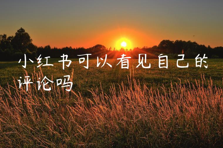 小红书可以看见自己的评论吗 小红书可以看见自己的评论吗